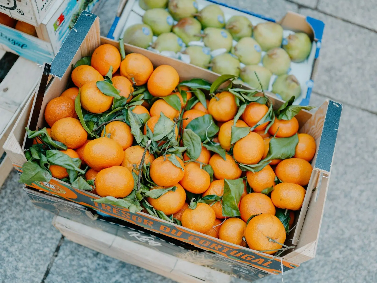 Fresh oranges sorted into a crate